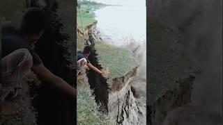 Karnali river cutting floodriver cute karnalishorts [upl. by Susanetta]