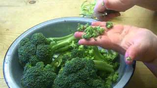 How to Make THE BEST Broccoli Salad [upl. by Izy]