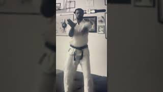 UechiRyu Karate Blocking Drill [upl. by Andromada]