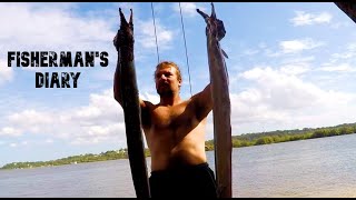 Massive Pike Eels  Sharkbait Fishing On Stradbroke Island  Fishermans Diary Ep 449 [upl. by Greenfield]