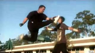 Wushu vs Karate  Martial Arts Fight Scene [upl. by Hedda352]