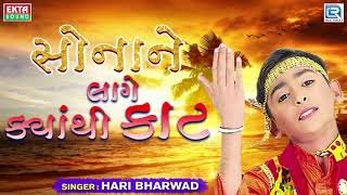 Sona Ne Lage Kyathi Kaat  Hari Bharwad  Superhit Gujarati Bhajan  સોનાને લાગે ક્યાંથી કાટ [upl. by Strickman]