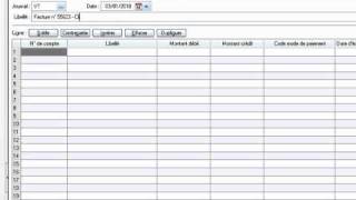 Vidéo n° 3 La saisie des écritures comptables [upl. by Otis]