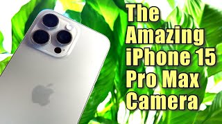 iPhone 15 Pro Max Camera Demonstration and Comment [upl. by Humberto]