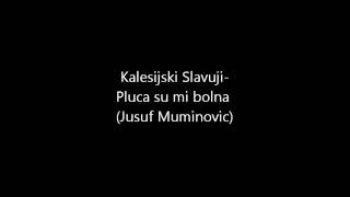 Kalesijski SlavujiPluca su mi bolna [upl. by Blithe]