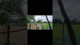 খেলা মাঠ থেকে বাসায় আসার পথে কি কি দেখলাম। [upl. by Kcirdez]