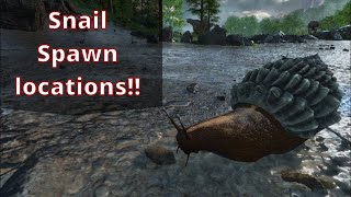 ARK Ascended The Island  Achatina Spawn Locations [upl. by Ardene337]