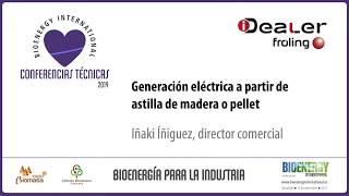 Cogeneración Eléctrica a partir de la Gasificación de astilla de madera o pellet [upl. by Ylatan]