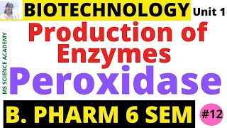 PeroxidaseProduction of EnzymesBiotechnologyUnit 1 B Pharmacy 6 SemLect12 [upl. by Winer]