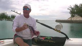 Black Bart Wahoo Lure Basics [upl. by Mariand]