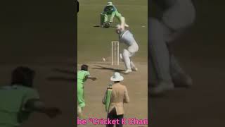 WASIM AKRAM Unplayable YORKERS 1992worldcup cricket [upl. by Harte]