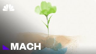 Keeping Earth Alive How Photosynthesis Is Essential To Our Survival  Mach  NBC News [upl. by Qooraf]