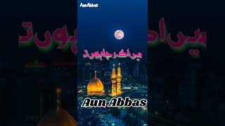 Noha Main Hoon Alamdar as  ؑمیں ہوں علمدار  AunAbbas 💯🌹 [upl. by Gorges]