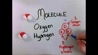 Water Polarity Adhesion and Cohesion [upl. by Neveda235]