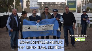 🟣🥇GANADORA DEL GRAN CAMPEON ANGUS DE LA EXPO DE RIO IV ►Mariano de Bary Cabaña Angus «14 DE ABRIL» [upl. by Adnotal]