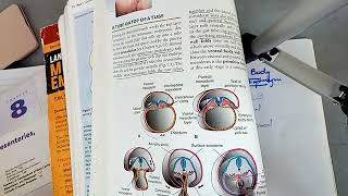 BODY CAVITIES and DIAPHRAGM development in easiest way part 1 [upl. by Vasquez227]