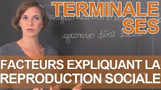 Quels facteurs expliquent la reproduction sociale   SES  Terminale  Les Bons Profs [upl. by Tierza434]