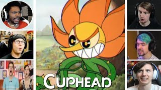 Lets Players Reaction To Cagney Carnation Boss Last Phase  Cuphead [upl. by Ahsram112]