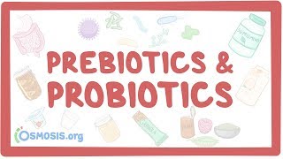 Prebiotics amp probiotics [upl. by Eibor230]