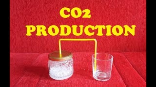 How To Produce Carbon Dioxide CO2  SCIENCE EXPERIMENT [upl. by Innob]