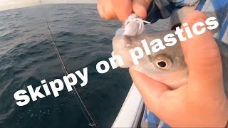 Silver Trevally feeding frenzy  Fish go nuts for the Redemption Mini Vamp squid  skippy on plastic [upl. by Assiron]