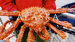 25 Alaska cruise vlog part 2  Ketchikan amp Juneau [upl. by Foscalina]