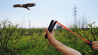 Handmade Wooden Slingshot The Ultimate Hunting Companion [upl. by Teillo190]