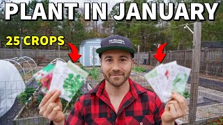 25 Veggies You Can Plant In January RIGHT NOW [upl. by Ardelis715]