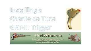 Stoeger X20  installing a Charlie da Tuna GRTIII trigger [upl. by Rebba]