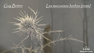 Les mauvaises herbes remix  Guy Brière  Vidéoclip officiel [upl. by Atazroglam]