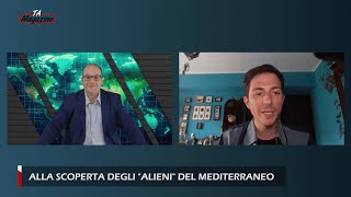 Alla scoperta degli quotalieniquot del Mediterraneo [upl. by Notsag]