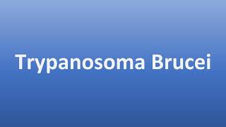 How to Pronounce Trypanosoma Brucei [upl. by Nirac]