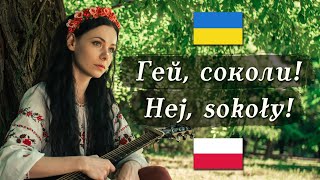 🇺🇦 🇵🇱 Гей соколи  Hej sokoły – UkrainianPolish folk song [upl. by Ahsla]