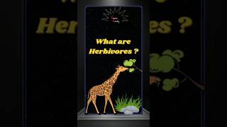 What are herbivores  Herbivores Definition  herbivorous  Example of herbivores animals and birds [upl. by Einnok]