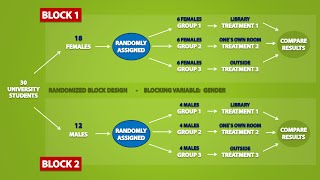 Types of Experimental Designs 33 [upl. by Iatnohs]