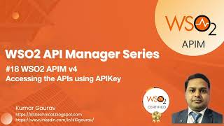 18 WSO2 APIM v4  Accessing the APIs using APIKey [upl. by Royal]