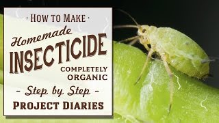 ★ How to Make Homemade Insecticide Complete Step by Step Guide to Killing Garden Pests amp Insects [upl. by Sommers]