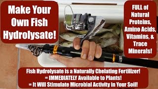 Make Your Own Fish Hydrolysate Full of Amino Acids Vitamins amp Trace Minerals for Your Soil [upl. by Stein]