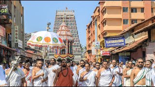 Rathotsava of Sri shankaracharya ShankaraJayanti Mahotsava amp Vedaposhaka Sabha 50thYear Celebrations [upl. by Kattie888]