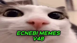 ECNEBI MEMES V48 [upl. by Narra893]