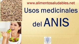 Usos medicinales del ANIS [upl. by Gaige]