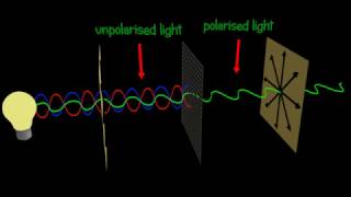 Polarization  Polarizer  Explained and animated 3d [upl. by Anirdnajela]