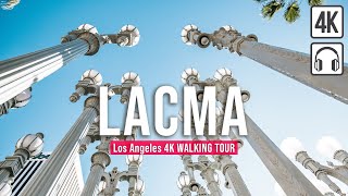 LACMA Walking Tour Los Angeles  Immersive Sound 4K60fps [upl. by Suivat]