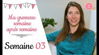 3ème semaine de grossesse – Les nausées [upl. by Alfonse]