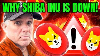 WHY SHIBA INU IS DOWN TODAY BREAKING SHIBA INU COIN NEWS [upl. by Anaya449]