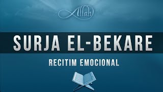 Surja el Bekare [upl. by Haslett]