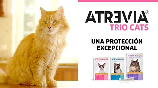 Atrevia® Trio Cats  Una Protección Excepcional para tu Gato [upl. by Yggep402]