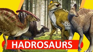 Hadrosaurs  The DuckBilled Dinosaurs  2020Outdated [upl. by Gass321]