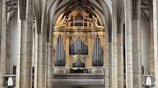 The Great 1714 Gottfried Silbermann Organ at Freiberg Cathedral Germany  Demonstration of Stops [upl. by Tybald]