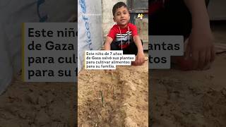 Niño salva plantas para alimentar a su familia en Gaza shorts [upl. by Nujra]